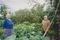 П.Е.Рудин с женой в своем саду