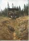 Механизированная посадка леса работниками "Воткинского лесхоза"