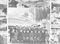 Работники совхоза «Чайковский» в туристической поездке в г. Алма-Ата. Стоят: слева направо 6-й – Дерюшев И.Ф.